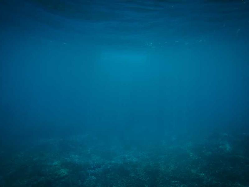 category_1.jpg